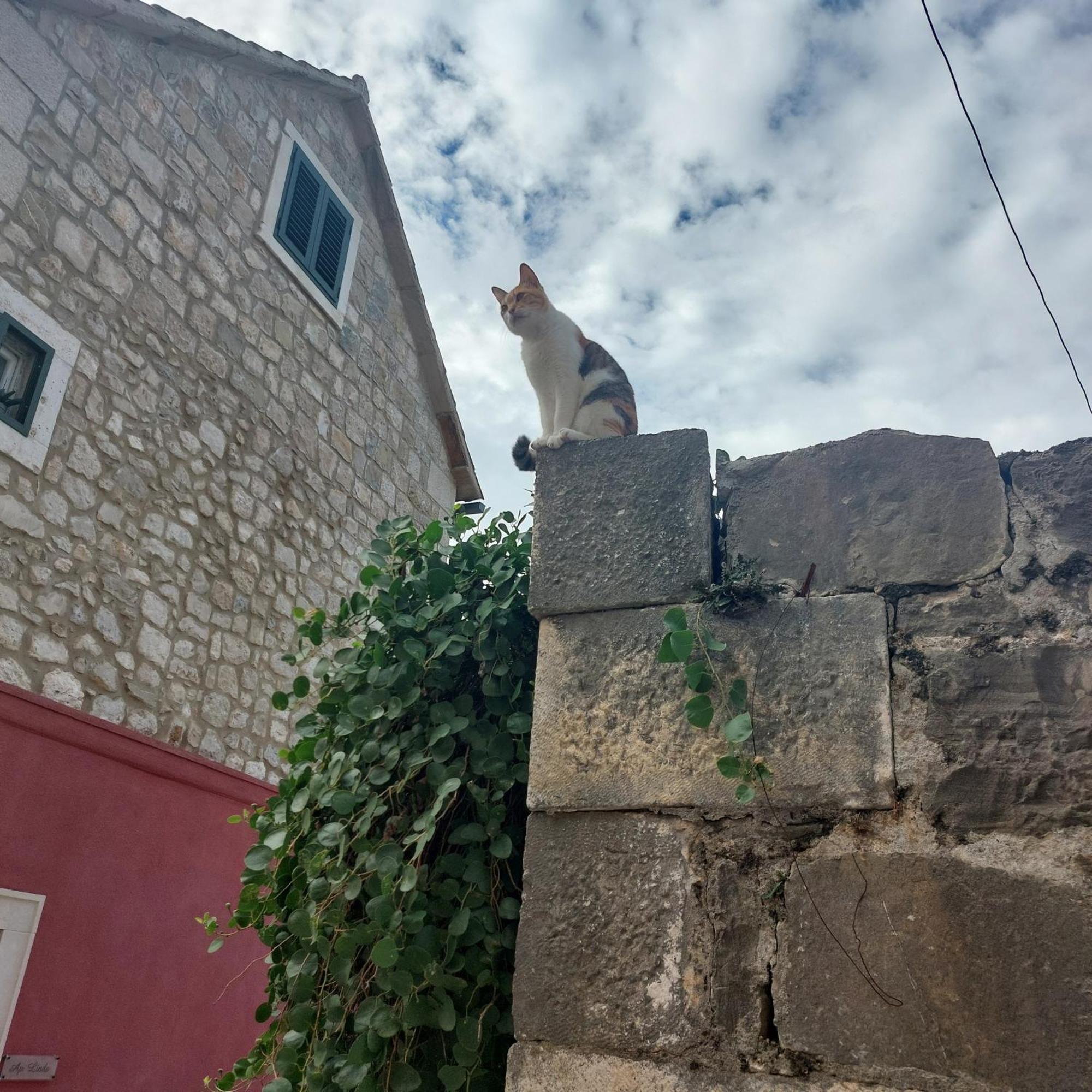 San Marco Makarska Διαμέρισμα Δωμάτιο φωτογραφία